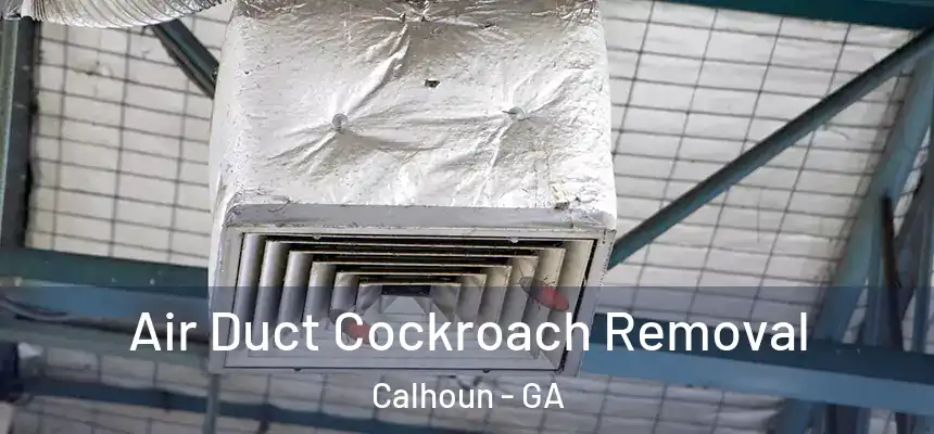  Air Duct Cockroach Removal Calhoun - GA