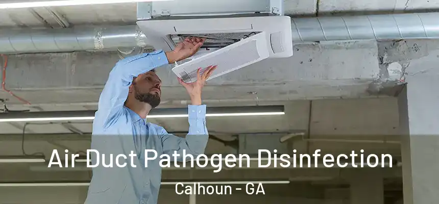  Air Duct Pathogen Disinfection Calhoun - GA