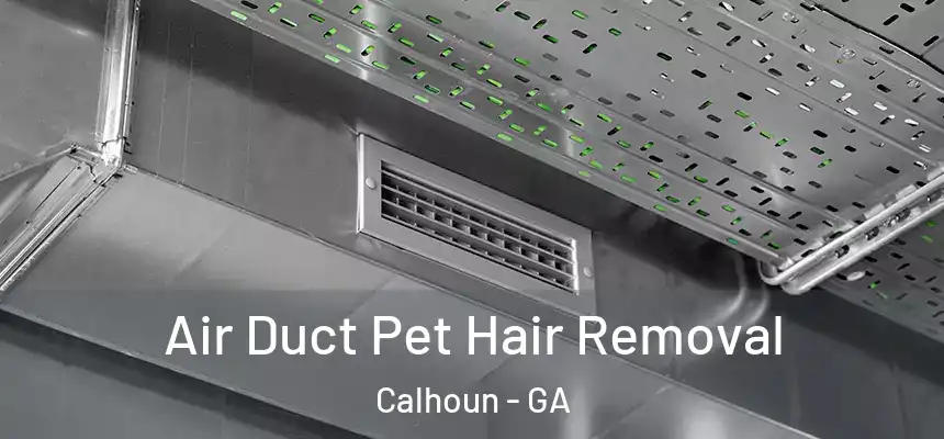  Air Duct Pet Hair Removal Calhoun - GA