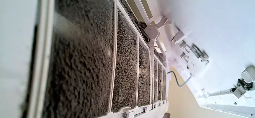 Preventive Air Duct Bacteria Removal in Calhoun