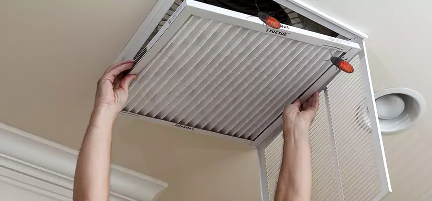 Preventive Cockroach-Proofing for Ducts in Calhoun