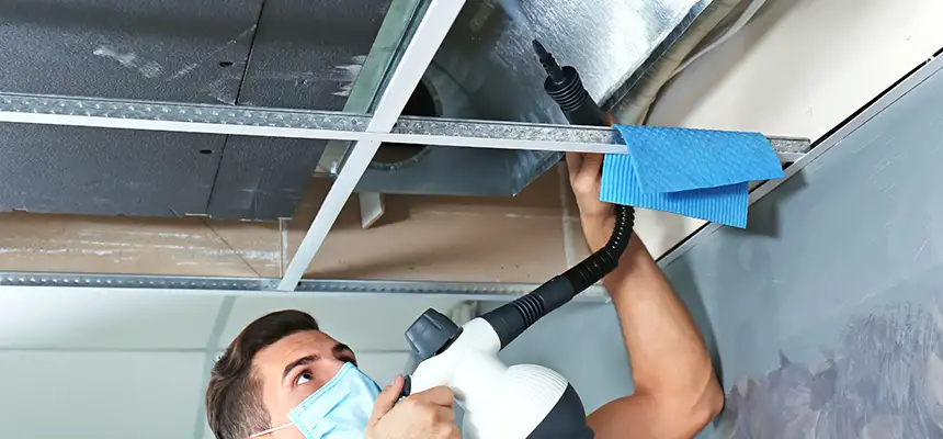 Our Air Duct Rodent Removal Services in Calhoun, GA