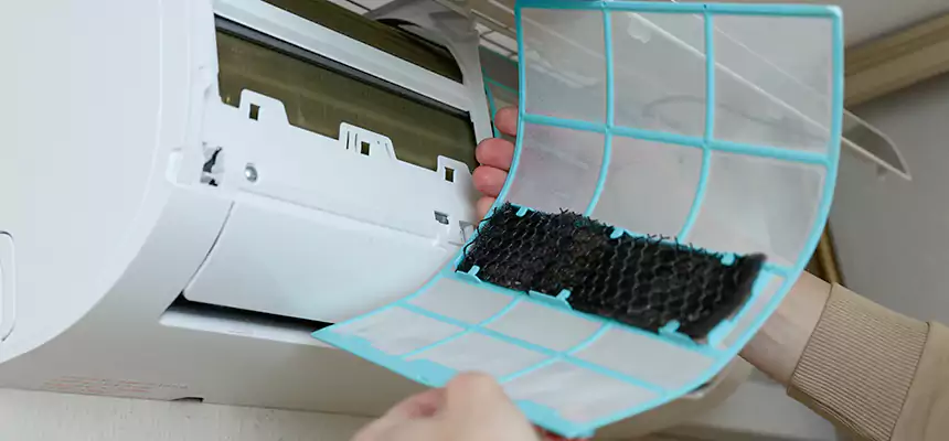 Gentle Ductwork Odor-Control Pet Dander Duct Cleaning in Calhoun, GA