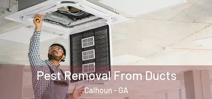 Pest Removal From Ducts Calhoun - GA