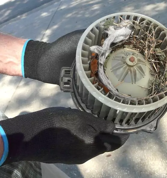 About Air Duct Rat Removal in Calhoun, GA