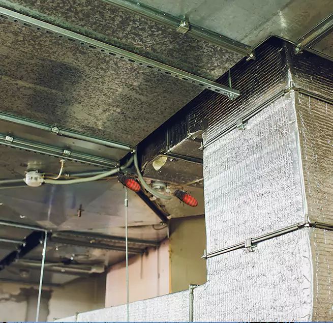 Why Homeowners & Businesses Trust Us in Calhoun, GA?