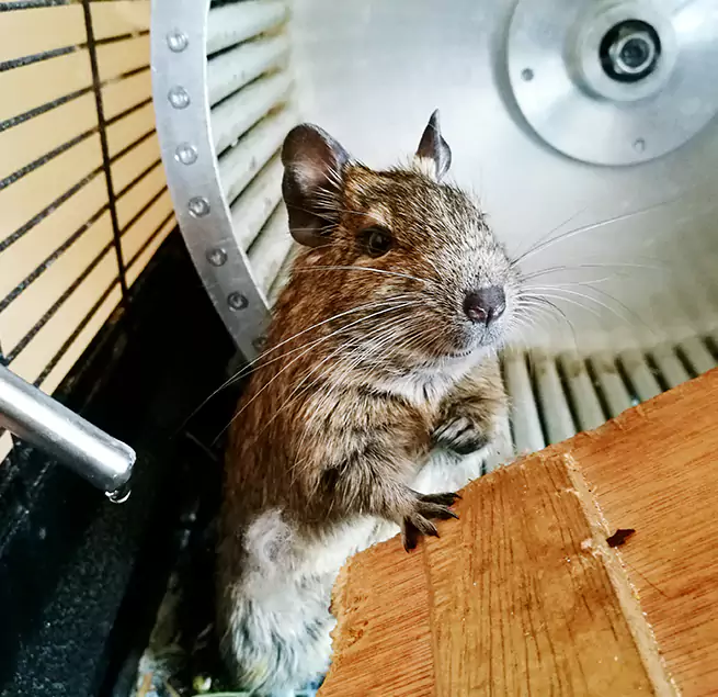 Why Homeowners & Businesses Trust Us Calhoun, GA?