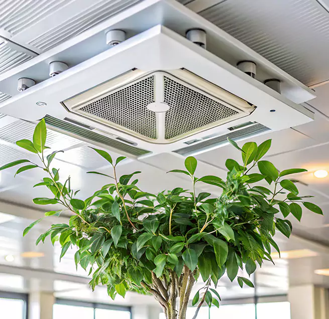 Why Homeowners & Businesses Trust Us in Calhoun, GA?