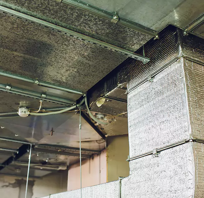 Why Homeowners & Businesses Trust Us in Calhoun, GA?